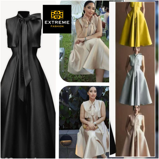 elegent occasional evening dress